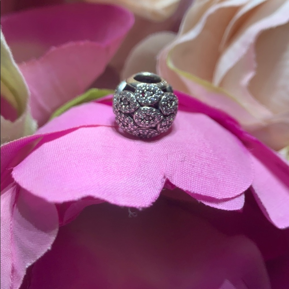 COPY - Authentic Pandora Charm